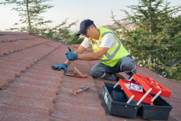 Best Flat Roof Repair Services  in Lyndon, KY